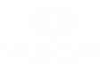 logo-footer-ok